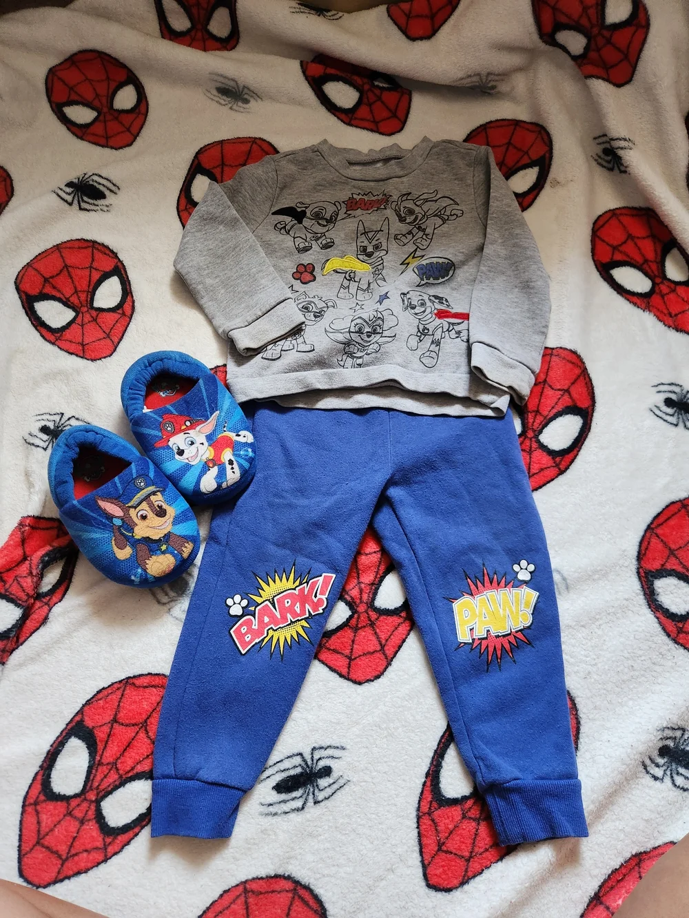 Paw Patrol Gray Sweatshirt & Blue Paw Patrol Joggers Set